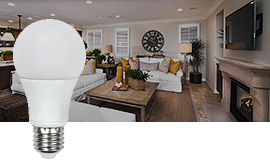 Wholesale LED Light Bulbs: Finding the Best Prices Online